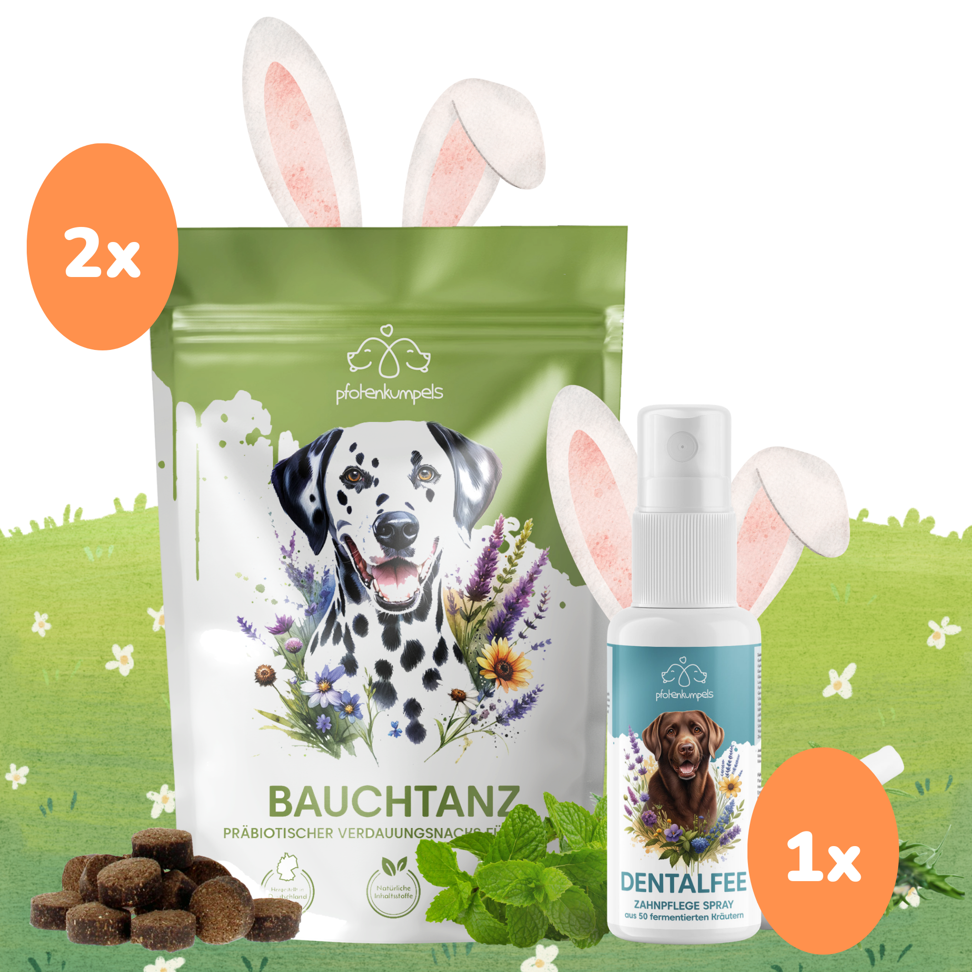 Oster-Bundle: 2x Bauchtanz + Dentalfee
