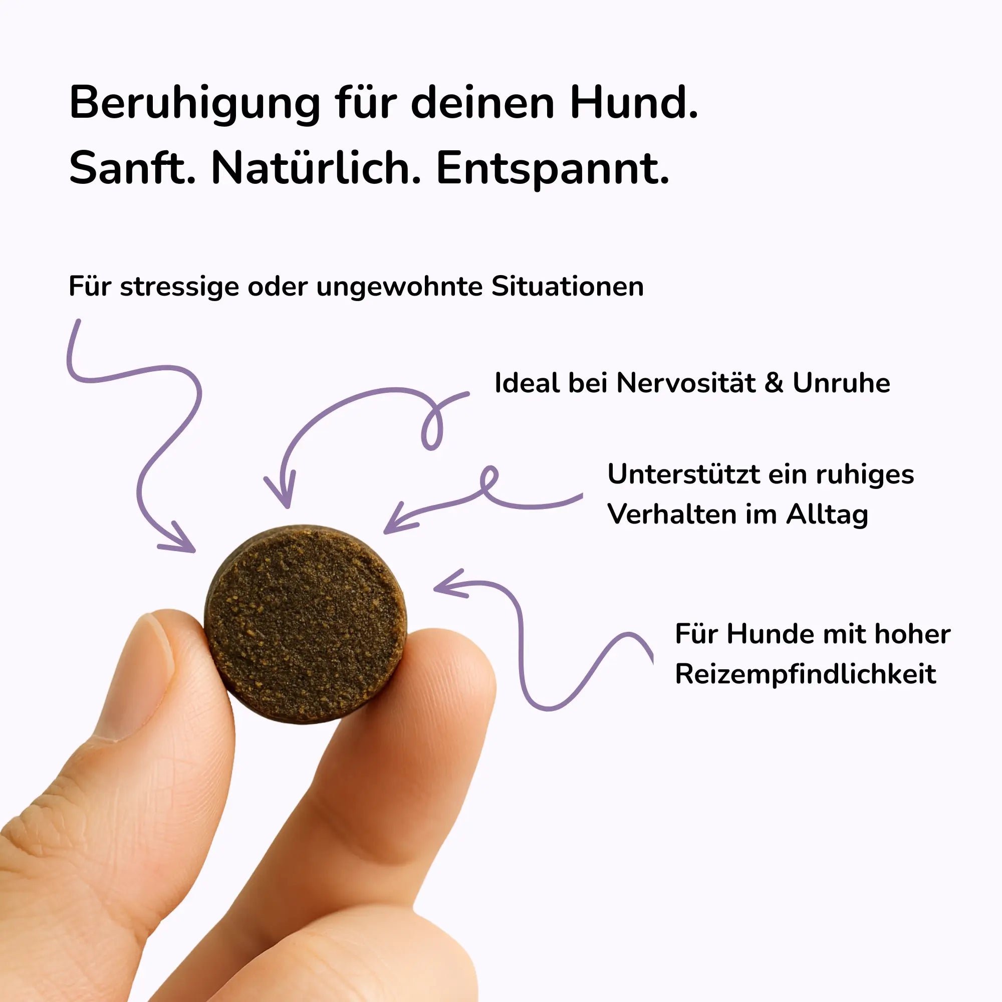 Natürliche Beruhigung für Hunde