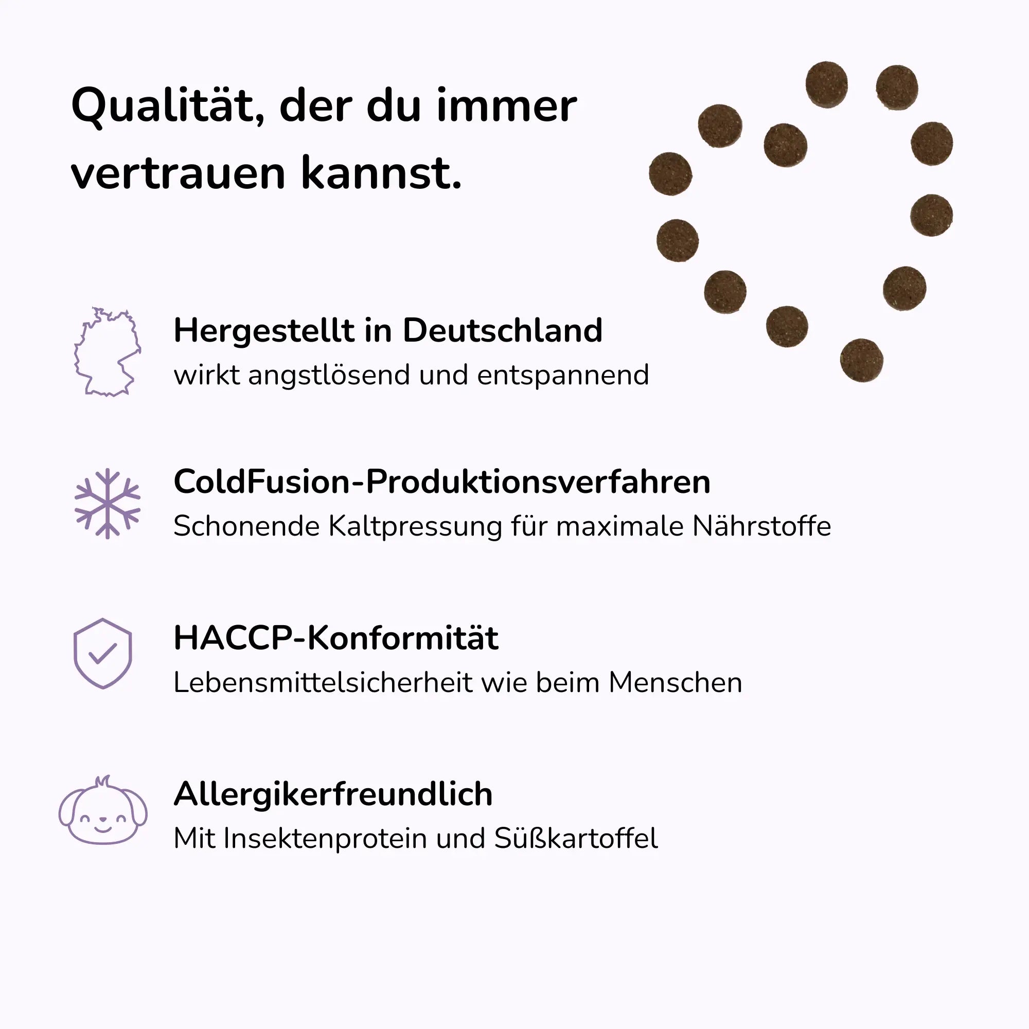 Seelenyoga Insektenprotein