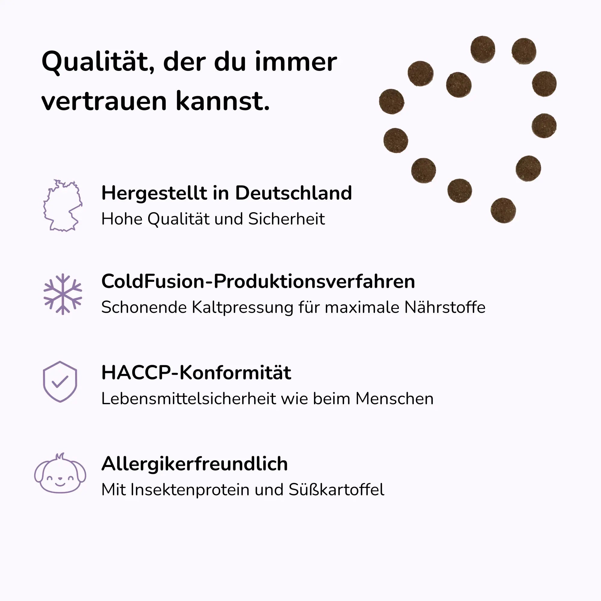 Seelenyoga Insektenprotein