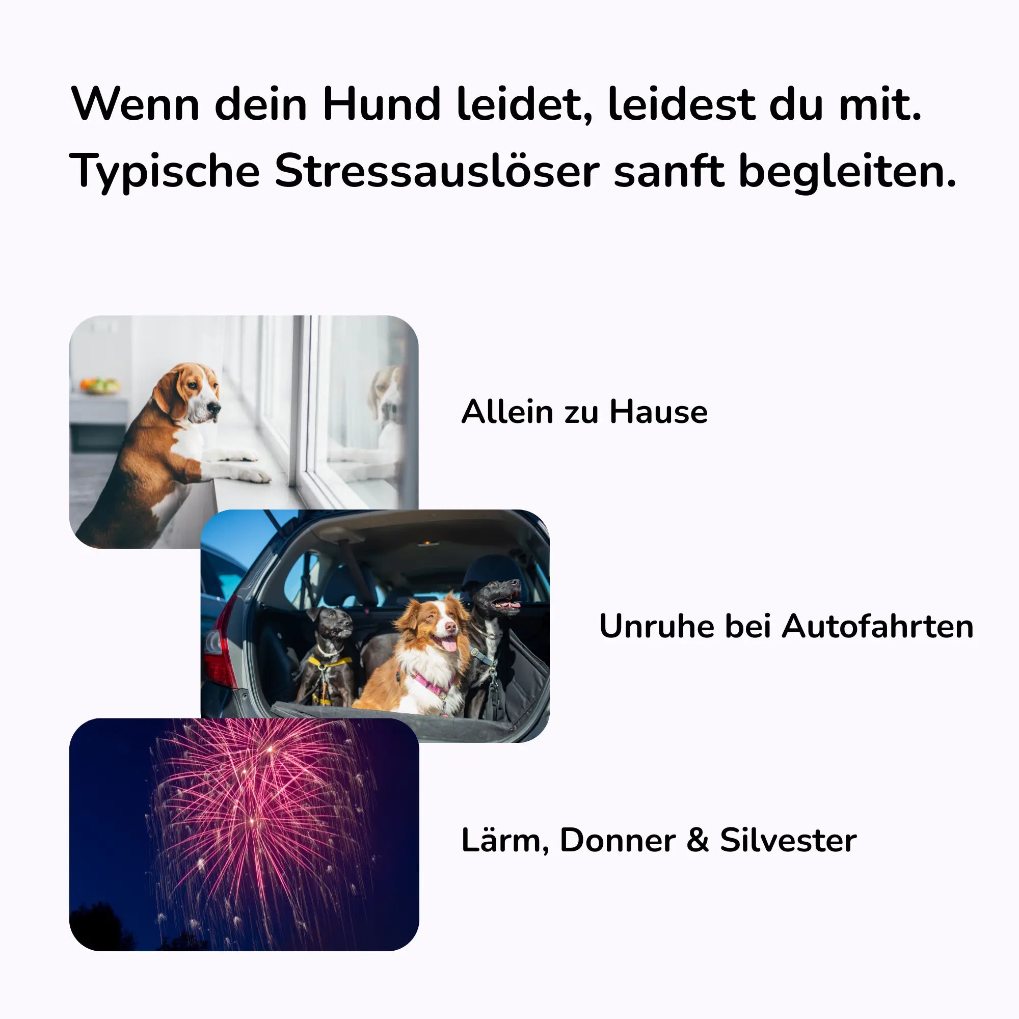 Stress bei Silvester, Autofahrt und Alleinsein