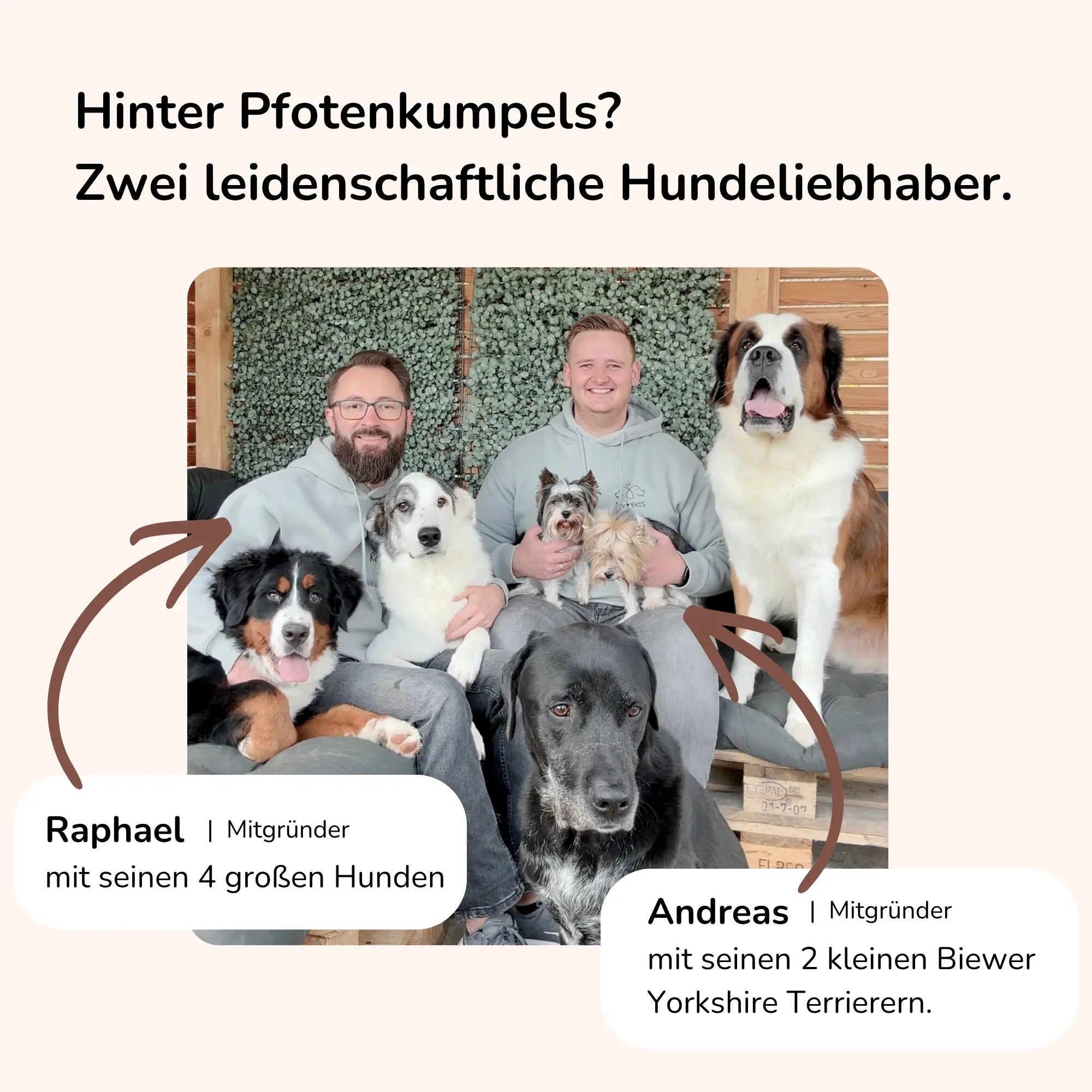 Hüftschwung - Snack