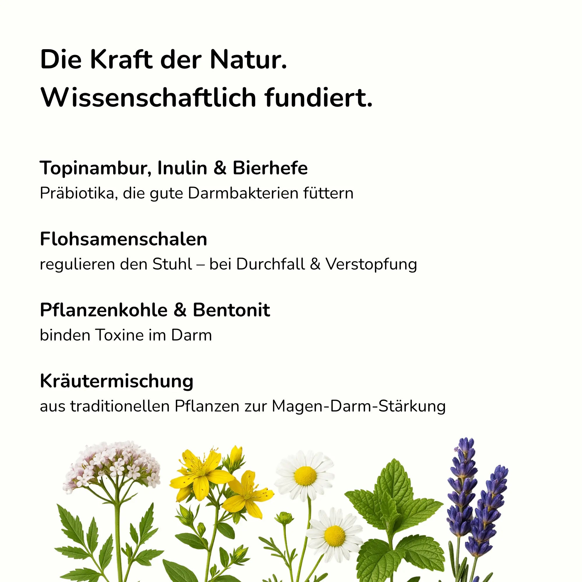 Präbiotika und natürliche Kräuter für Hunde