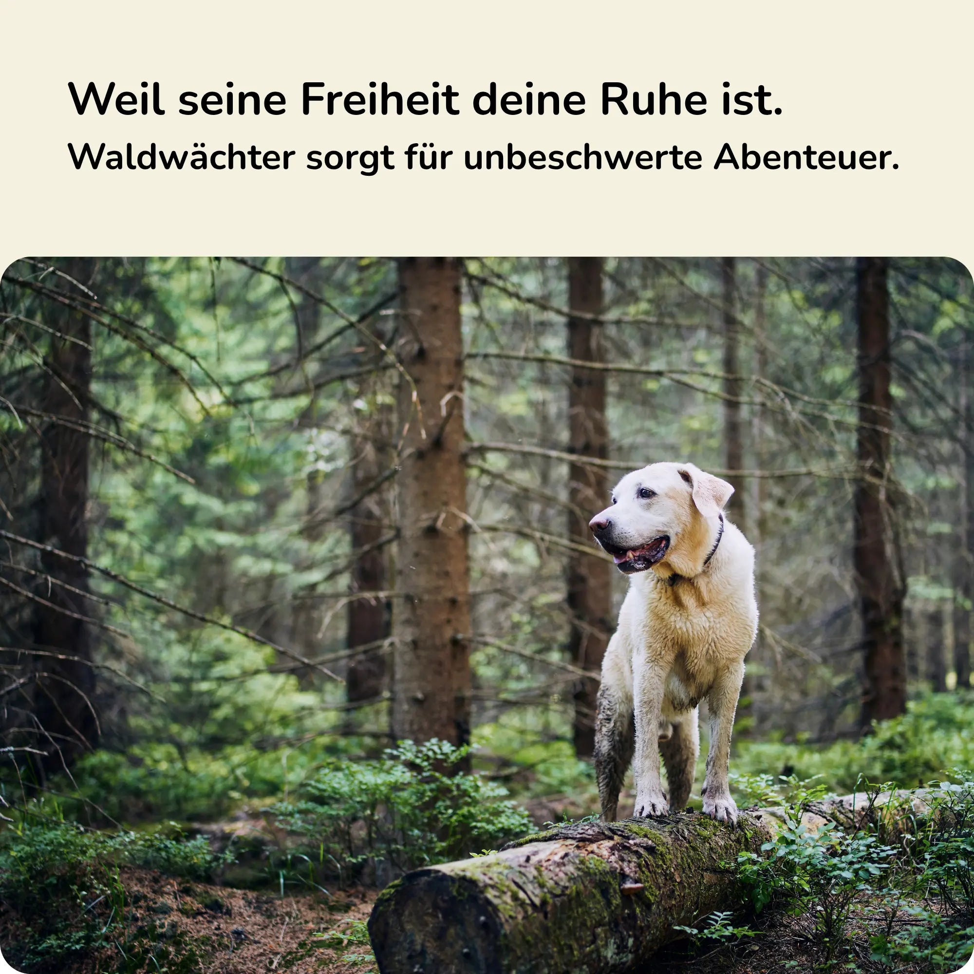 Waldwächter - Zeckenspray