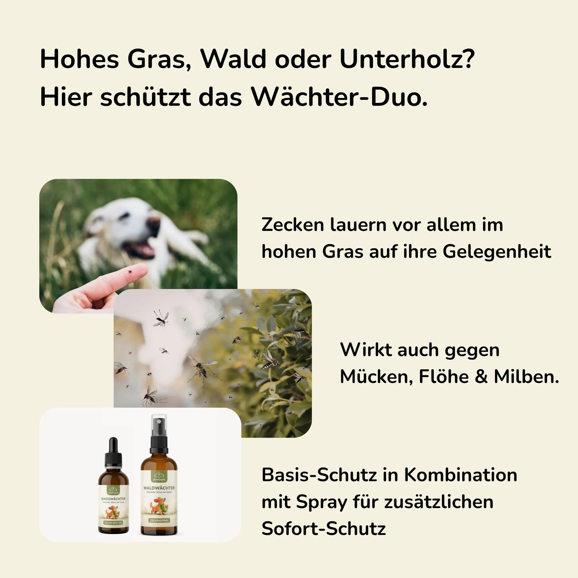 Wächter-Duo - Zeckenschutz für Hunde