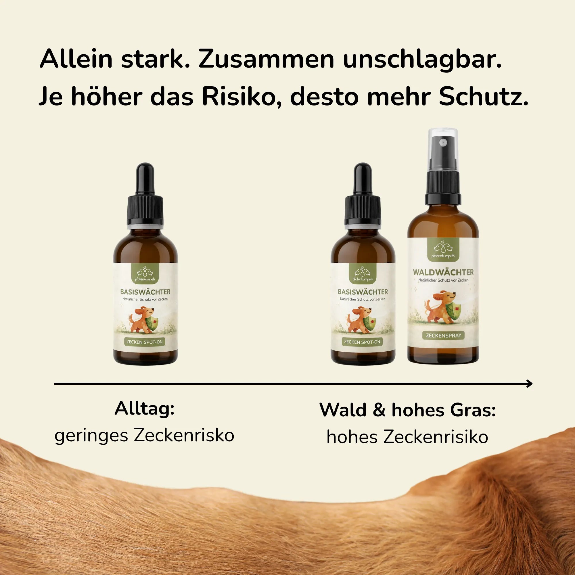Wächter-Duo - Zeckenschutz für Hunde