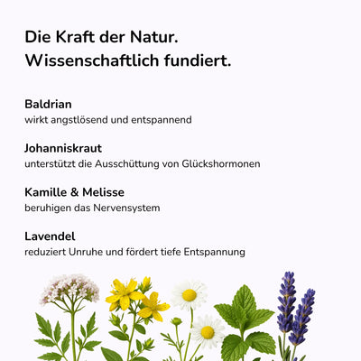 Baldrian, Johanniskraut, Lavendel für Hunde