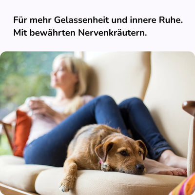 Gelassenheit und innere Ruhe bei Hunden