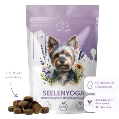 Seelenyoga - Beruhigungsmittel für Hunde