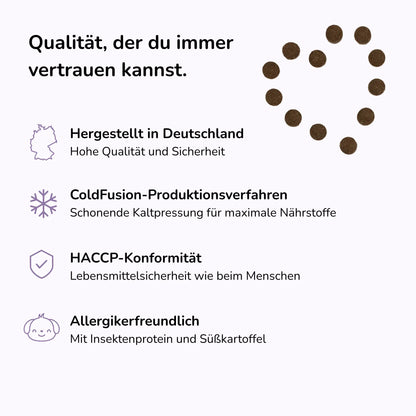 Seelenyoga Insektenprotein