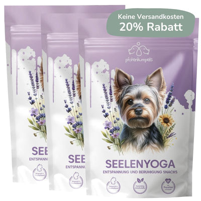 Seelenyoga Sparpaket
