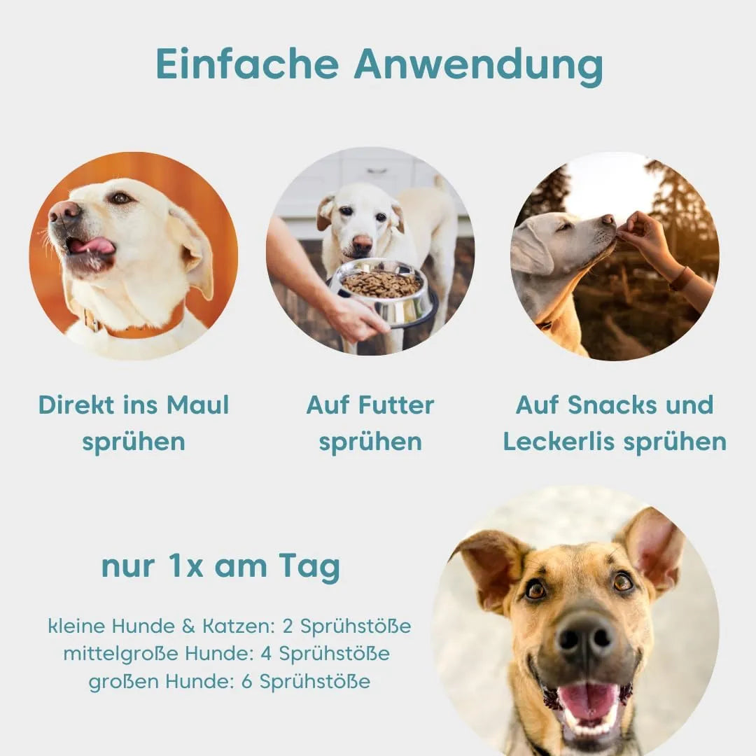 pfotenkumpels 'Dentalfee' - Dentalspray / Zahnpflege Spray für Hunde