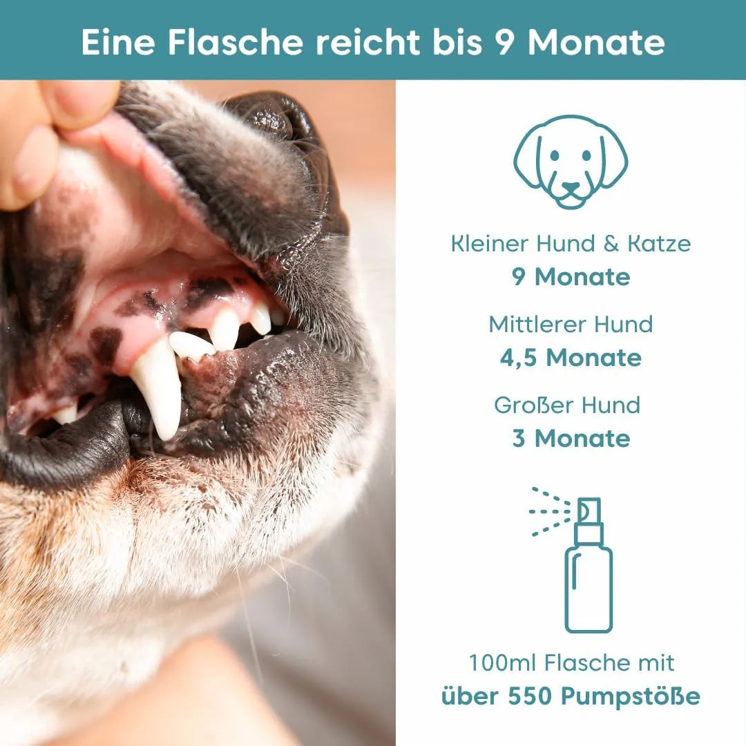 pfotenkumpels 'Dentalfee' - Dentalspray / Zahnpflege Spray für Hunde