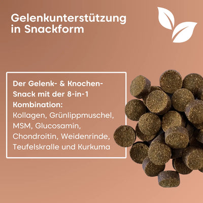 Mit Kollagen, Grünlippmuschel, MSM, Glucosamin, Chondroitin, Weiderinde, Teufelskralle und Kurkuma