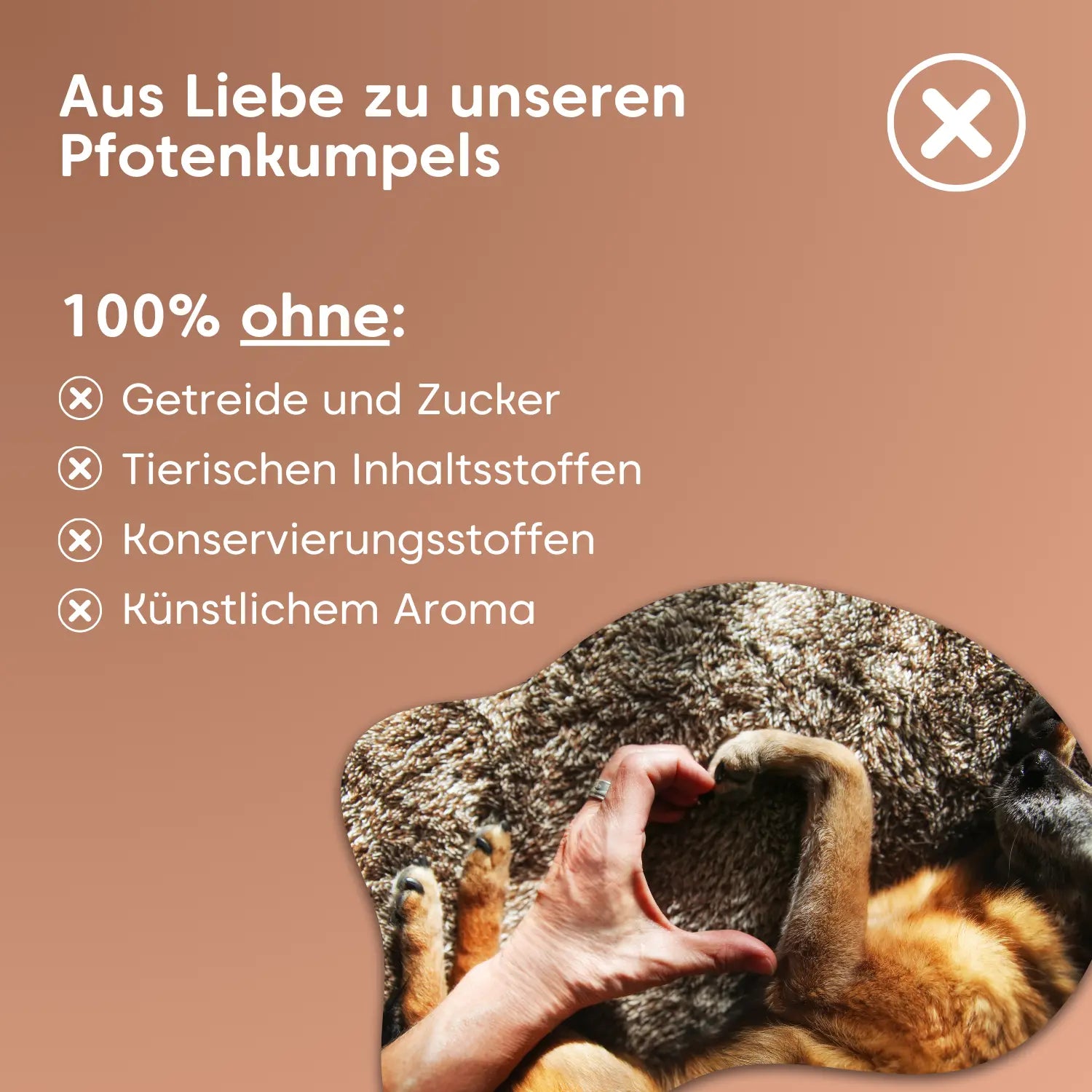 Snacks zur Unterstützung der Gelenke, Sehnen, Bänder und Knochen