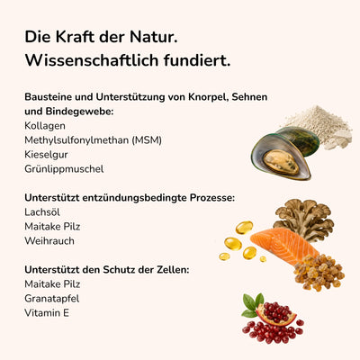 Hüftschwung - Snack
