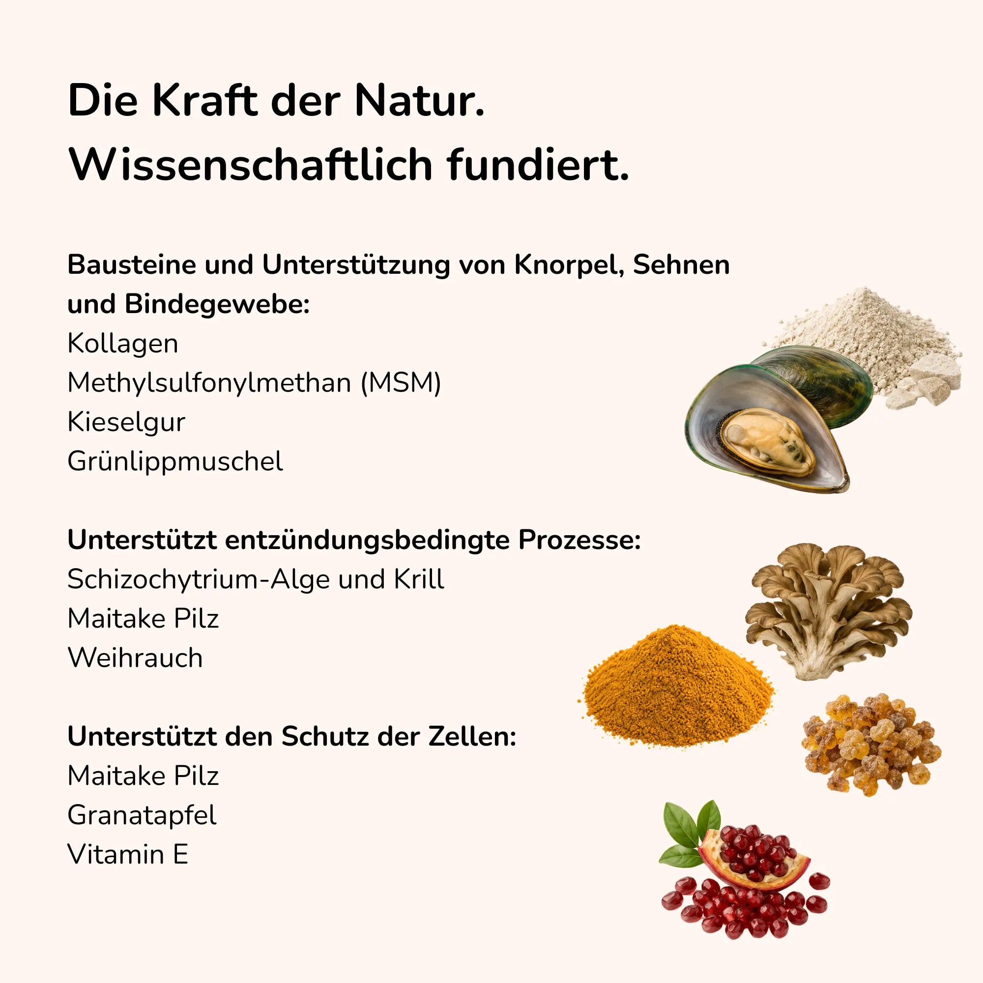 Hüftschwung - Futtertopping