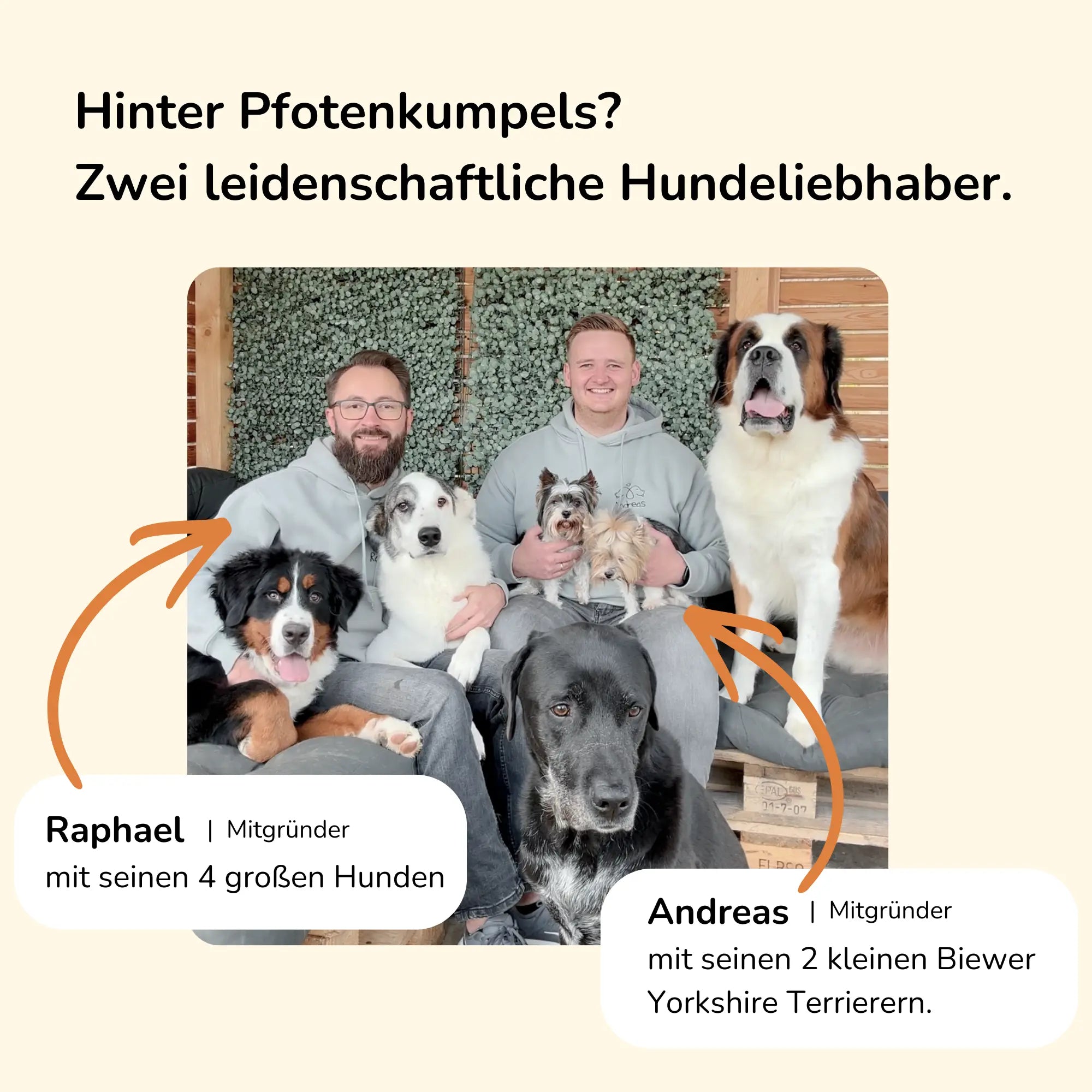Alltagsheld - Futtertopping