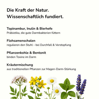 Präbiotika und natürliche Kräuter für Hunde