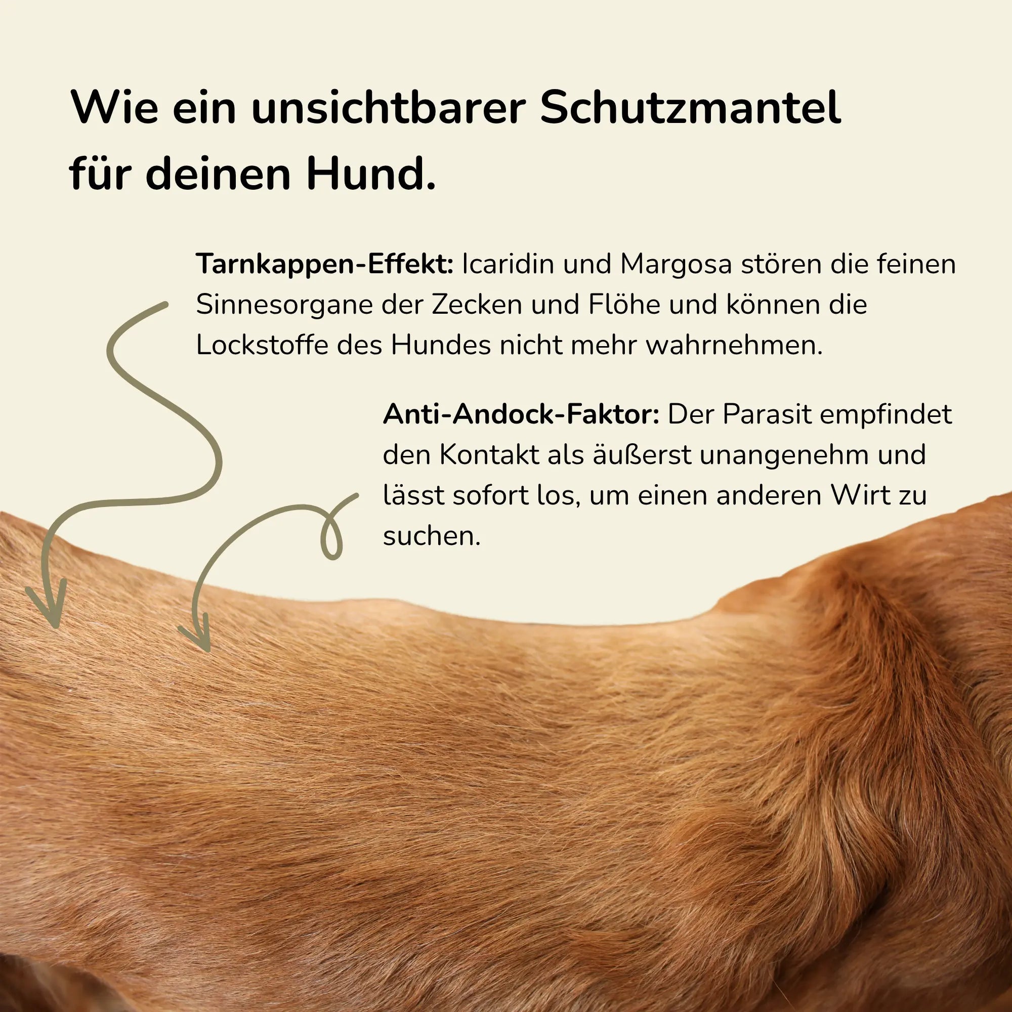 Waldwächter - Zeckenspray