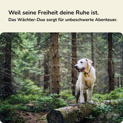 Wächter-Duo - Zeckenschutz für Hunde